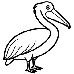 Sleek Pelican Line Art Design
