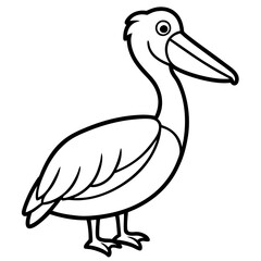 Sleek Pelican Line Art Design