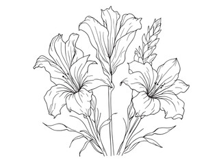 Elegant Gladiolus Flower in Delicate Line Art Style 