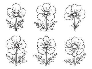 Elegant Hepatica Flower Hand Drawn Line Art Design