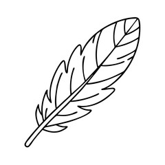 Obraz premium feather icon, feather vector illustration-simple illustration of feather, perfect for feather logos and icons