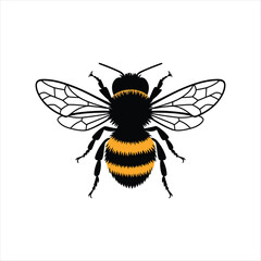 bee vector illustration