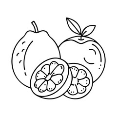 fruit icon icon, fruit icon vector illustration-simple illustration of fruit icon, perfect for fruit icon logos and icons