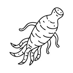 ginseng icon, ginseng vector illustration-simple illustration of ginseng, perfect for ginseng logos and icons