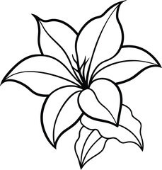 Floral Outlines Single Lily Flower, Leaves on Transparent Background Botanical Style