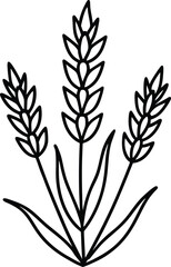 Black outlined wheat grain floral on transparent background