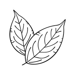 green leaf icon, green leaf vector illustration-simple illustration of green leaf, perfect for green leaf logos and icons