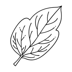 green leaf icon, green leaf vector illustration-simple illustration of green leaf, perfect for green leaf logos and icons