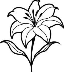 Isolated Lily Blossom with Petals, Stem, and Leaves in Black Outline