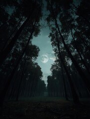 Fototapeta premium Ethereal moonlight illuminates a dense forest canopy creating a serene and mystical atmosphere with tall trees reaching toward the sky in a dark and moody scene