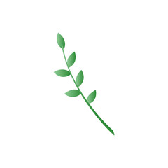Minimal Green Leaf Branch Illustration on White Background