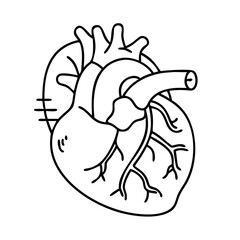 human heart icon, human heart vector illustration-simple illustration of human heart, perfect for human heart logos and icons