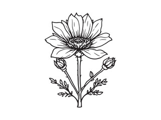 Intricate Grevillea Floral Design in Elegant Line Art Style