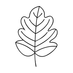 leaf icon, leaf vector illustration-simple illustration of leaf, perfect for leaf logos and icons