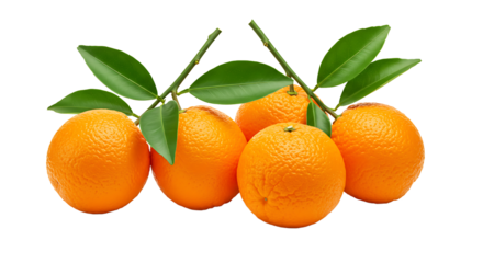 A group of five oranges with stems and green leaves isolated against a black background view