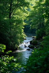 Obraz premium a view of a river running through a lush green forest