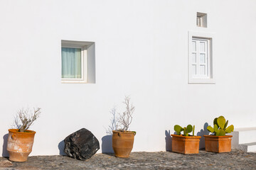 White cycladic architecture in Santorini island, Greece. Ceramic pots with plants on the street