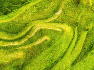Green agricultural terraces in the mountains at sunset. Aerial top down view