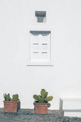 White cycladic architecture in Santorini island, Greece. Ceramic pots with green cactuses under the window
