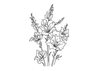 Simple and Elegant Gladiolus Line Drawing for Graphic Use
