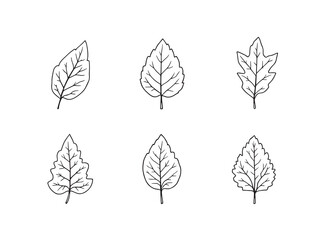 Simple birch tree leaf drawing in black and white vector