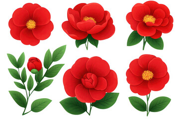 Vivid scarlet camellias in full bloom, a classic beauty against darkness