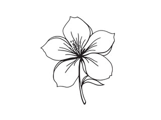 Simple Elegant Gardenia Line Art Floral Design Illustration 