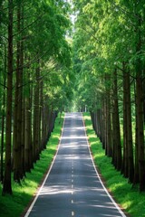 Obraz premium a view of a road lined with trees and grass next to a forest