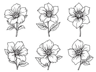 Simple Elegant Gardenia Line Art Floral Design Illustration