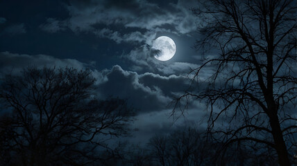 Fototapeta premium full moon in the night over the forest