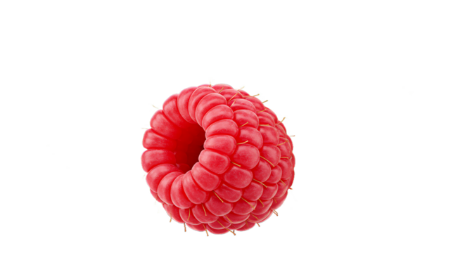 Isolated close up of a single red raspberry with a black background and some white pixels around it