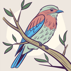 Brid on Cockscomb colorful flowers in the garden blue yellow brid isolated on transparent background cutout