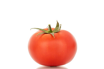 Red juicy tomatoes, close-up, isolated on white background.