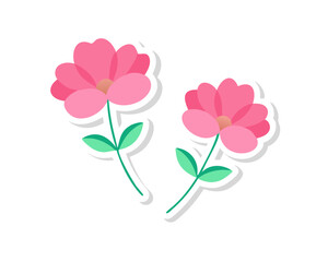 pink flower vector
