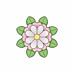 pink flower vector illustration