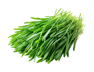 Fresh green wheatgrass bunch nature food healthy environment isolated on transparent background