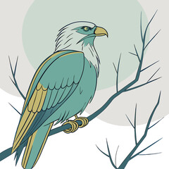 Brid on Cockscomb colorful flowers in the garden blue yellow brid isolated on transparent background cutout