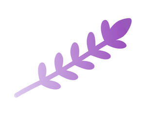 pink on white background Lavender vector illustration