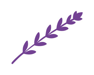 pink on white background Lavender vector illustration