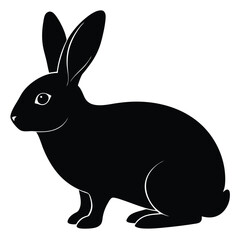 black and white rabbit