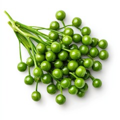Fresh green peppercorns on stems, isolated on white background"