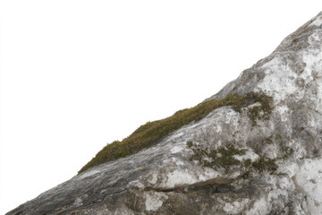 Mossy Boulder: Close-up of a weathered rock with a vibrant strip of moss.