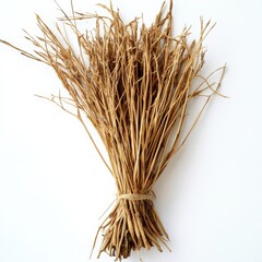 Vetiver grass roots dried and fresh, isolated on white background, earthy tones