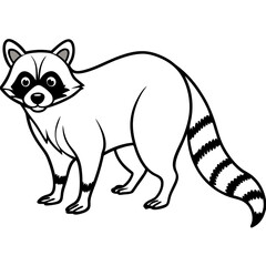 Stylized Raccoon Outline Art