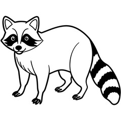 Stylized Raccoon Outline Art