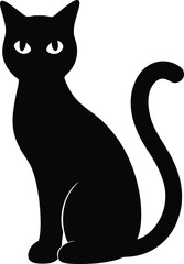 black cat on white background