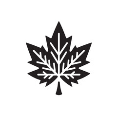 Bold maple leaf outline with flat black icon style