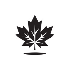 Stylish single maple leaf illustration in silhouette