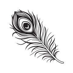 Elegant Peacock Feather Silhouette Illustration