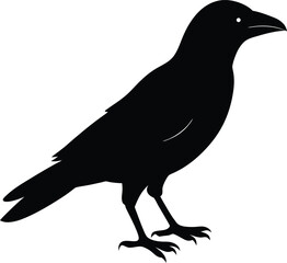 silhouette of a crow